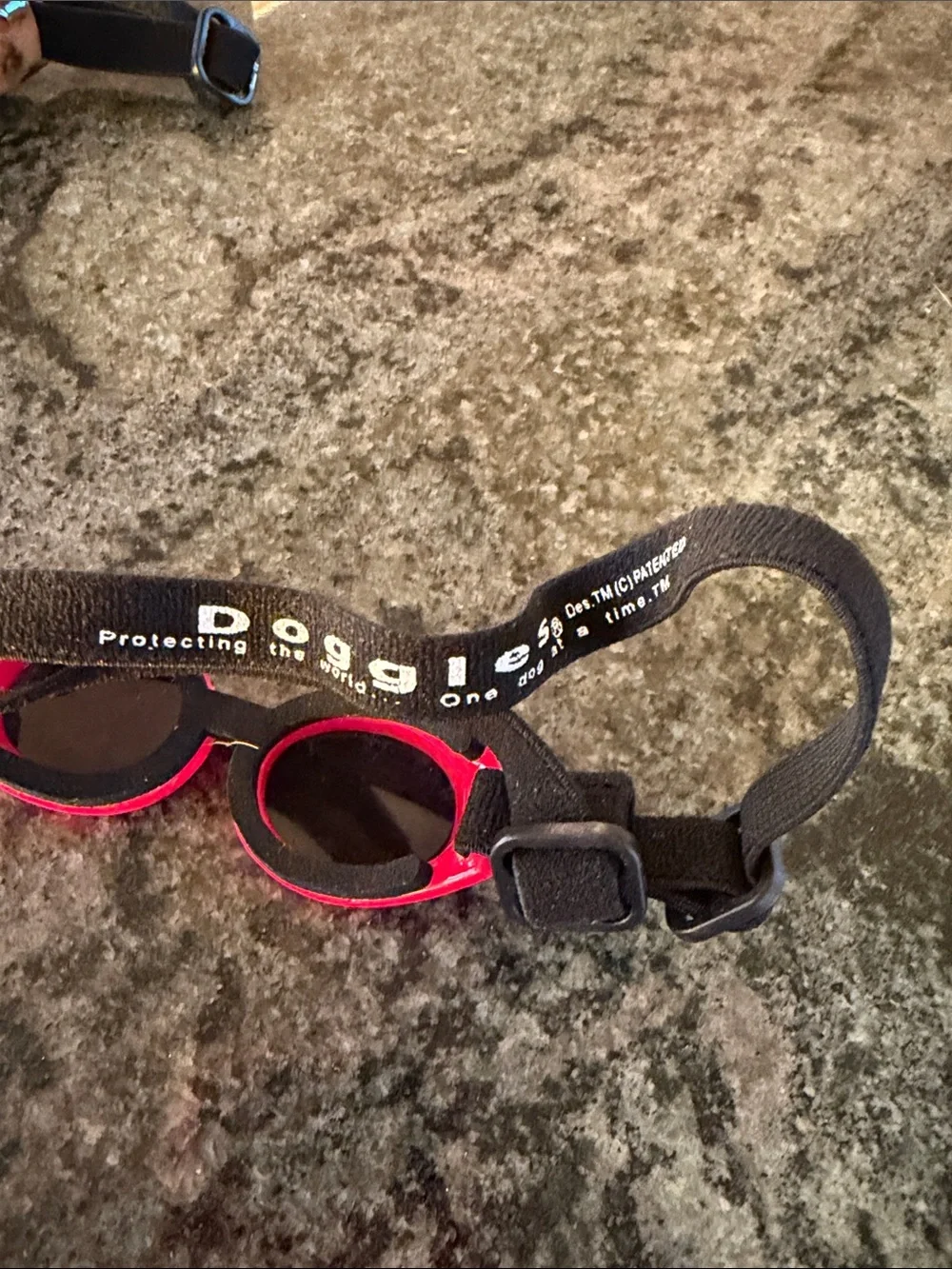 Dog Protective Sunglasses in Bright Red